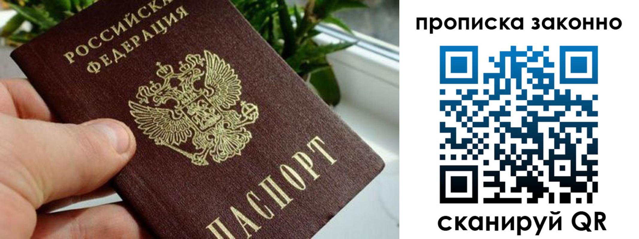 прописка гарантия в Армавире